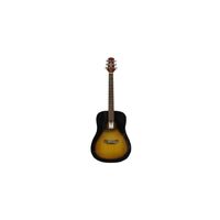 Ashton D20 TSB Acoustic Guitar