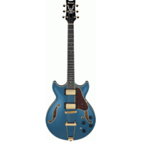   AMH90 PBM Electric Guitar