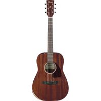 Ibanez PF14JROPN Acoustic Guitar Open Pore Natural