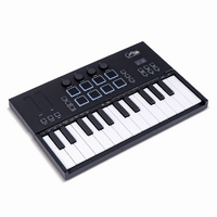 Carry-on Folding Controller 25 Keyboard