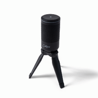 Carry-on Foldable USB Microphone - Black