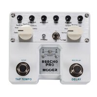 MOOER REECHO PRO - DUAL DIGIT DELAY