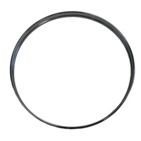 22'' CHROME B.D. HOOP